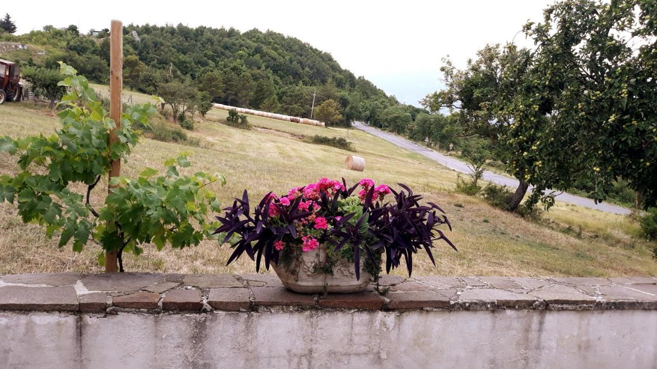 Agriturismo Persichitti Torricella Peligna Buitenkant foto